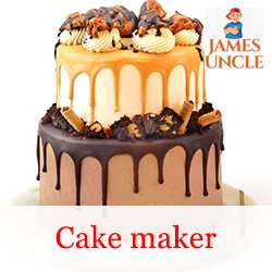 Cake maker Mrs. Rumki Roy in Raiganj